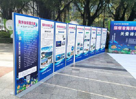 长垣KT板的种类和知识。